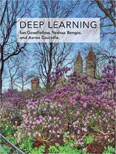 Deep Learning