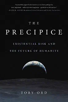 Cover of The Precipice