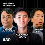 EP #39 Should We Be Fearful of Artificial Intelligence? The AI Panel w/ Emad Mostaque, Alexandr Wang, and Andrew Ng