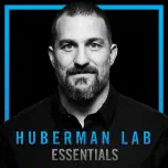 Essentials: Machines, Creativity & Love | Dr. Lex Fridman