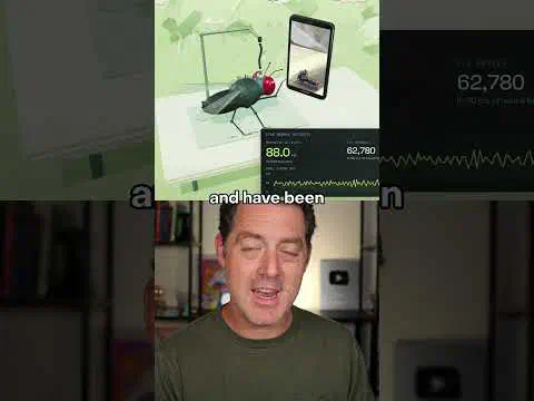 YouTube video