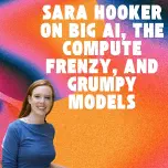 #8 – Sara Hooker: Big AI, The Compute Frenzy, and Grumpy Models